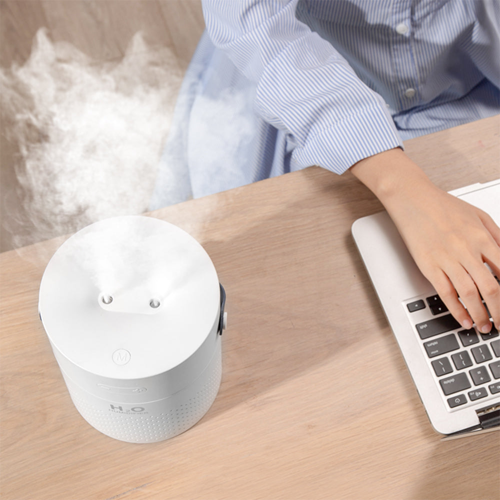 Alana Portable Humidifier For Home And Office Use