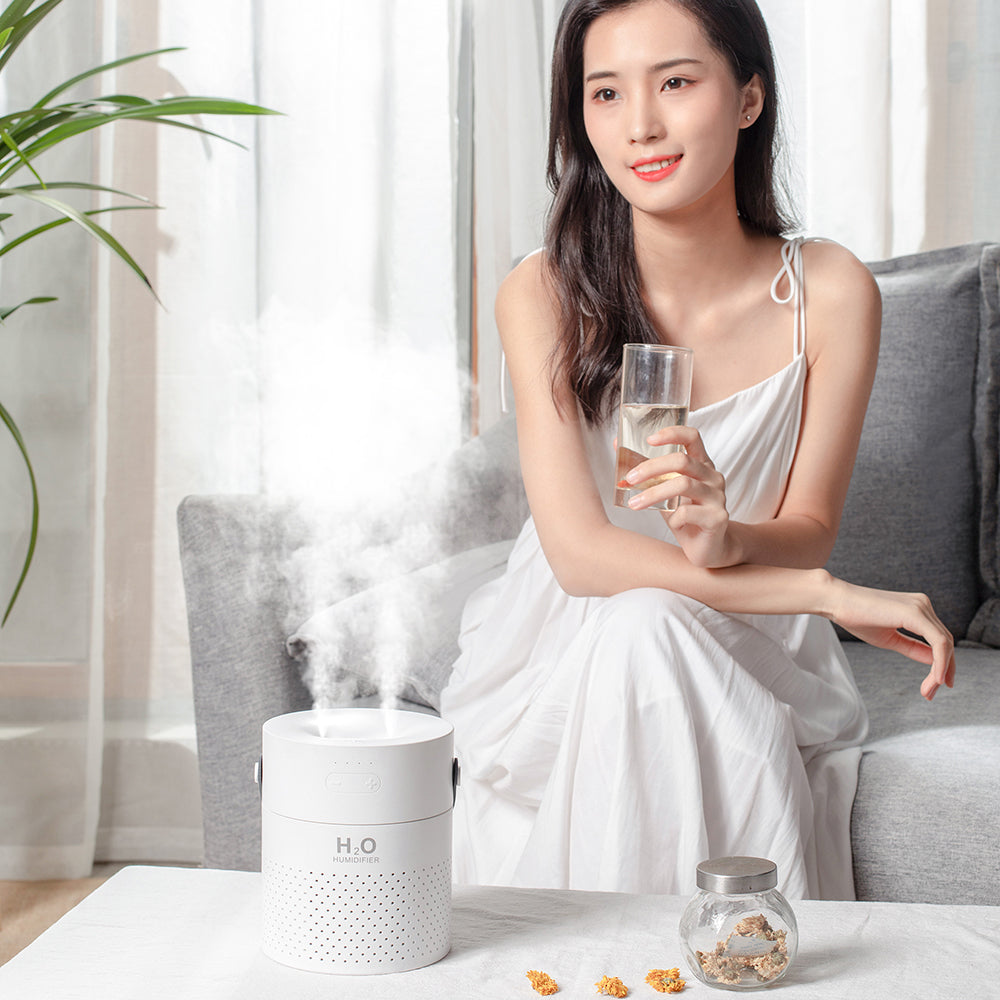 Alana Portable Humidifier For Home And Office Use